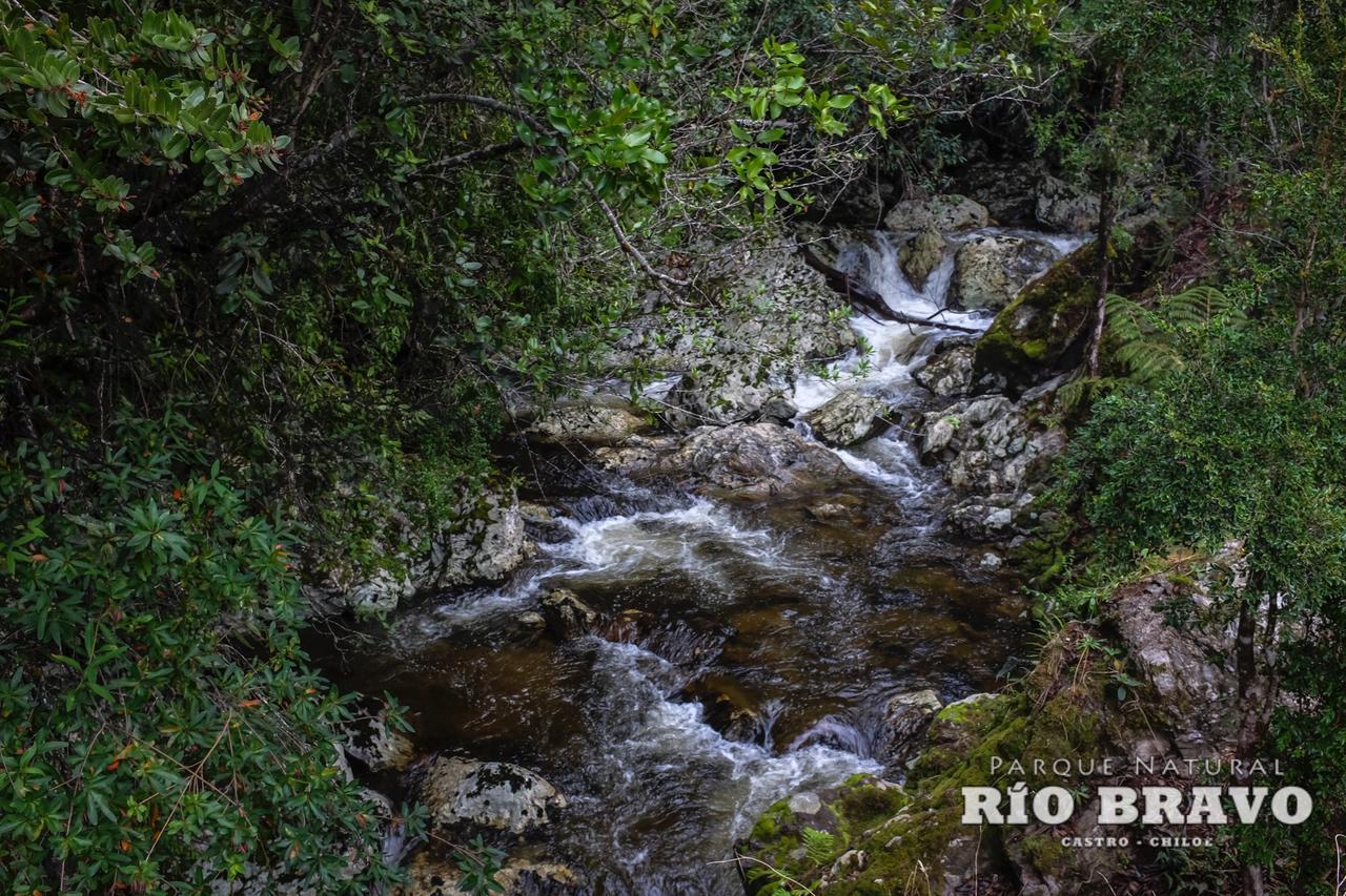 Parque Natural Rio Bravo Lodge Кастро Стая снимка